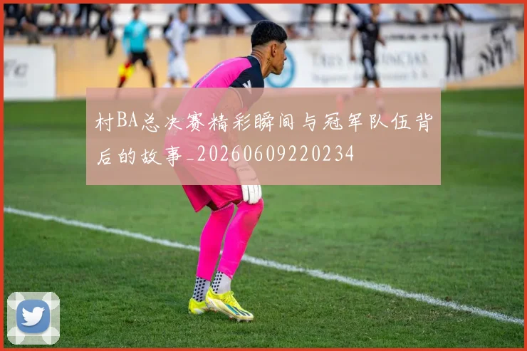 村BA总决赛精彩瞬间与冠军队伍背后的故事_20260609220234