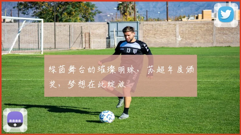 绿茵舞台的璀璨明珠，苏超年度颁奖，梦想在此绽放