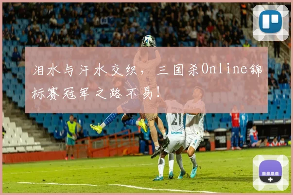 泪水与汗水交织，三国杀Online锦标赛冠军之路不易！