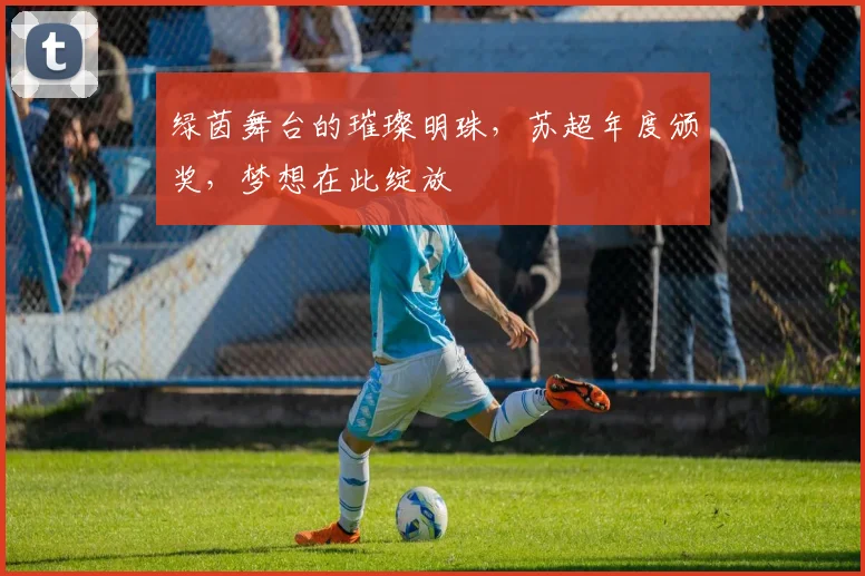 绿茵舞台的璀璨明珠，苏超年度颁奖，梦想在此绽放