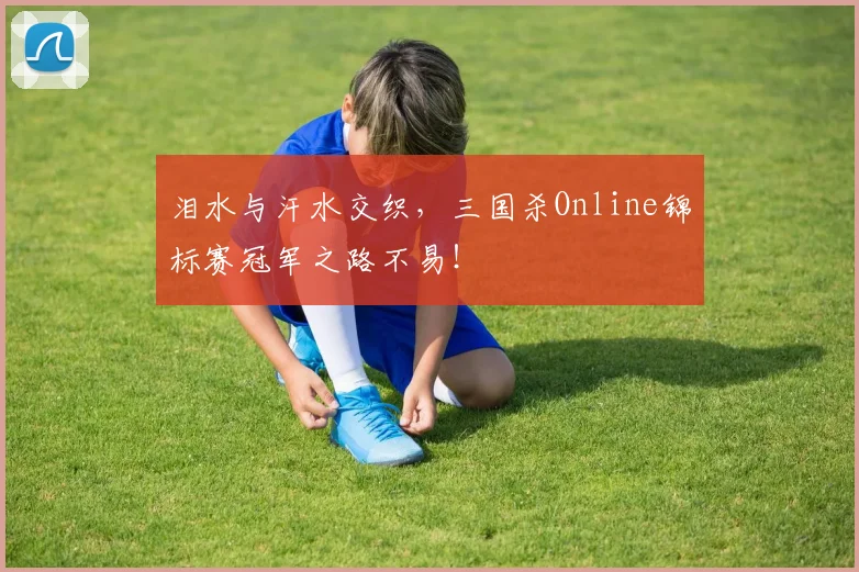 泪水与汗水交织，三国杀Online锦标赛冠军之路不易！
